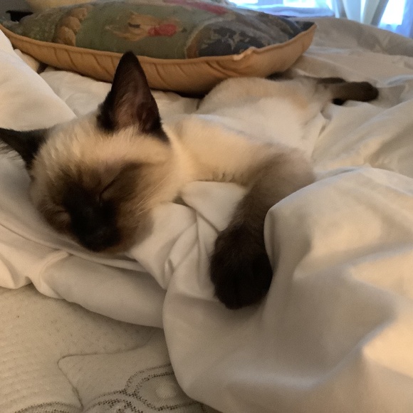 Meet your Posher, Andrea - Picture 1 of 1